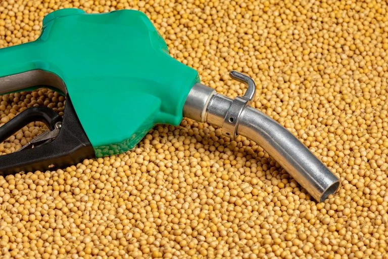 Produtores cobram início de testes para avançar com mistura de biodiesel