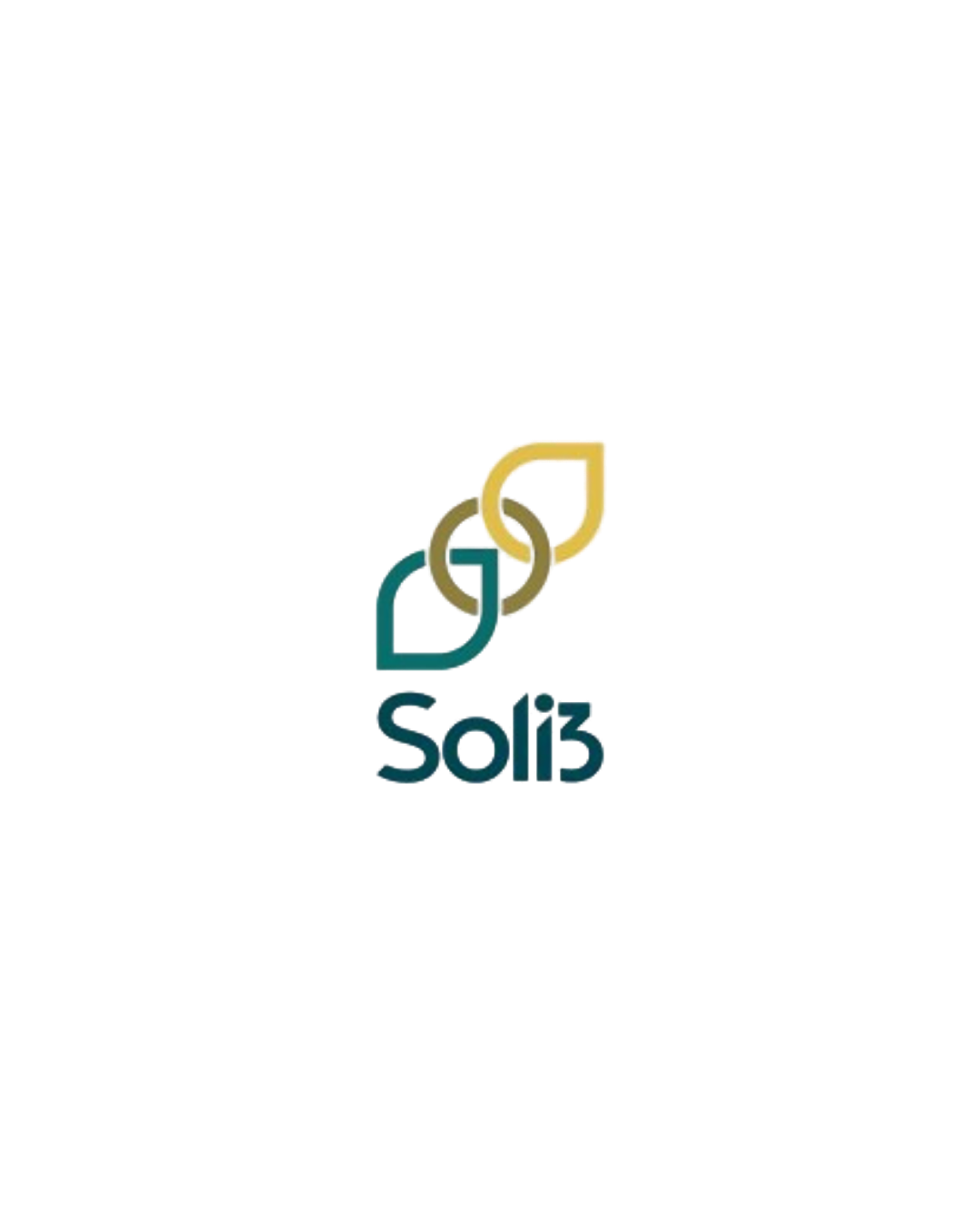 SOLI3