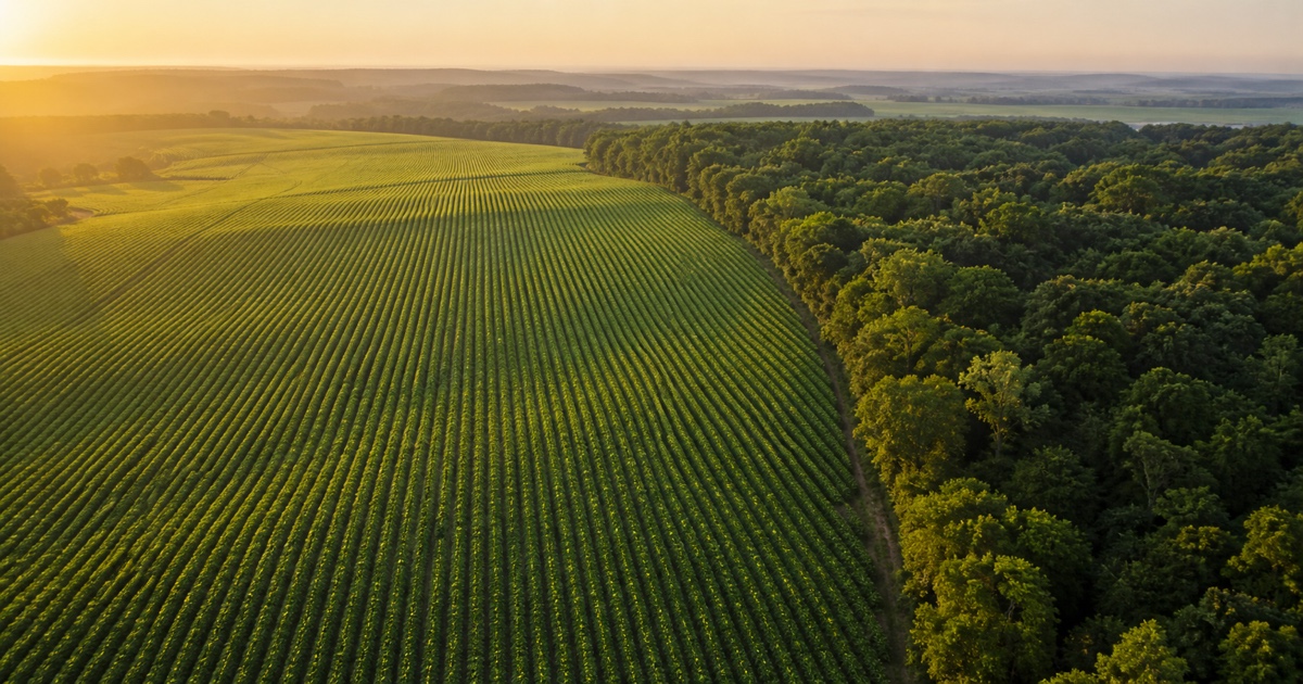 Brasil e o desafio da FAO