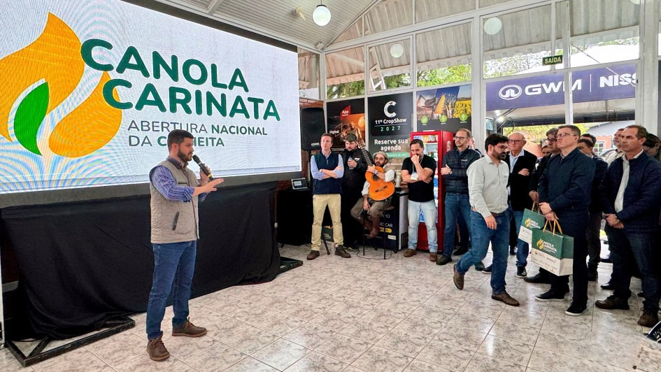 Canola mais que dobra área no RS e ganha força como matéria-prima para biodiesel
